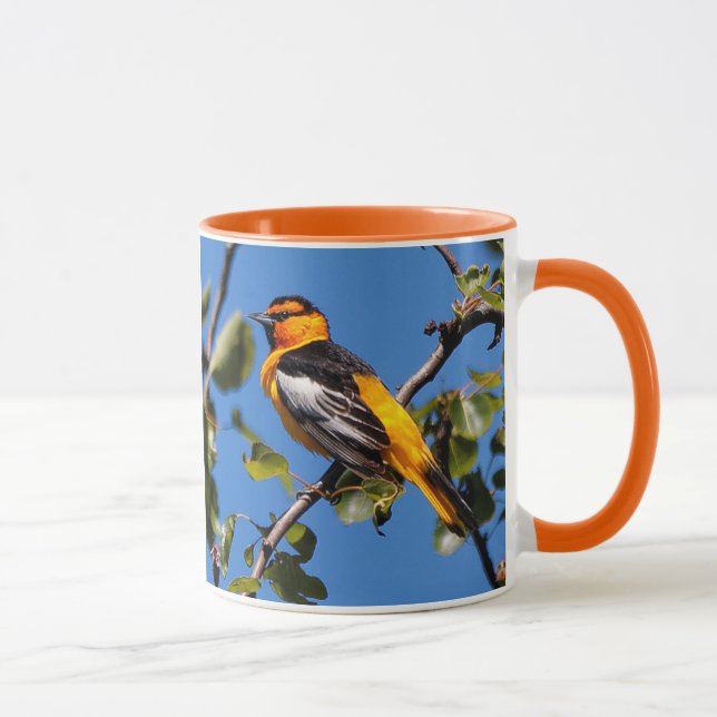 Schöner Bullock's Oriole Songbird im Birnbaum Tasse (Rechts)