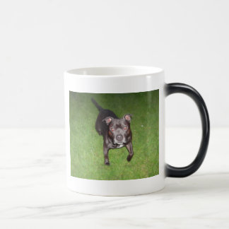 Schöner Bullterrier Verwandlungstasse