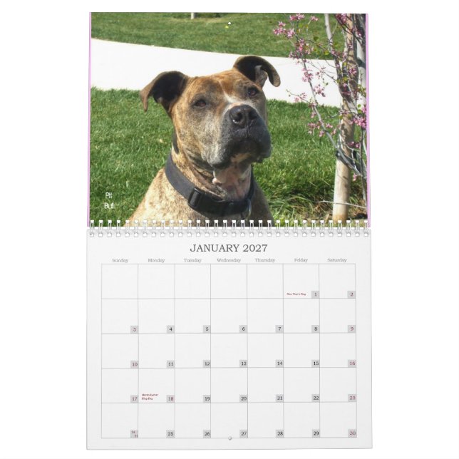 Schöner Bullys 2012 Hundekalender Kalender (Jan 2027)