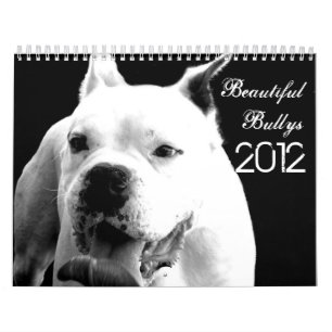 Schöner Bullys 2012 Hundekalender Kalender