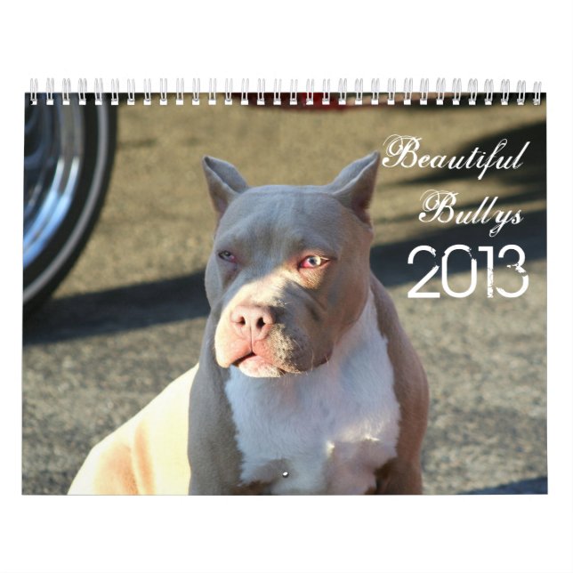 Schöner Bullys 2013 Hundekalender Kalender (Titelbild)