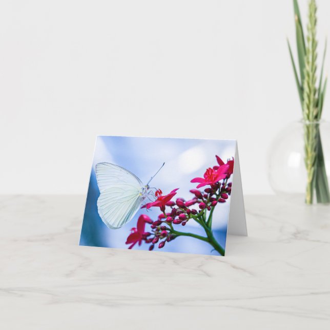 Schöner Butterfly-Blank-Notecard Dankeskarte (Vorderseite)