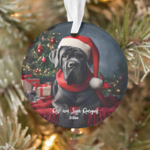 Schöner Cane Corso mit Weihnachtsmannmütze Ornament