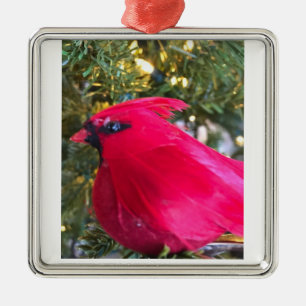 ***SCHÖNER CARDINAL*** WEIHNACHTSLIEBE-Dekoration Ornament Aus Metall