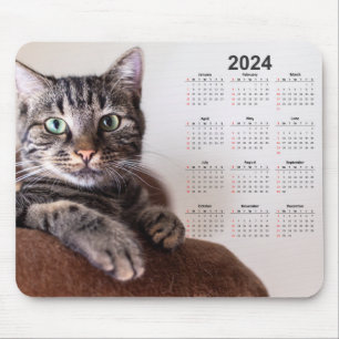 Schöner Cat Resting 2024 Kalender Mousepad