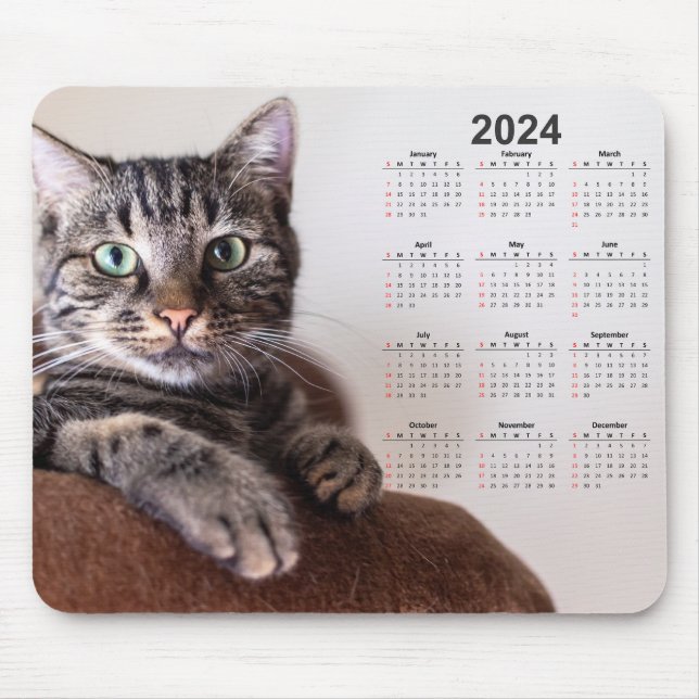 Schöner Cat Resting 2024 Kalender Mousepad (Vorne)