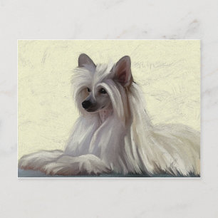 Schöner Chinesischer Puffsack Postkarte