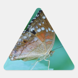 Schöner Danaus Plexippus Butterfly auf dem Leaf. Dreieckiger Aufkleber