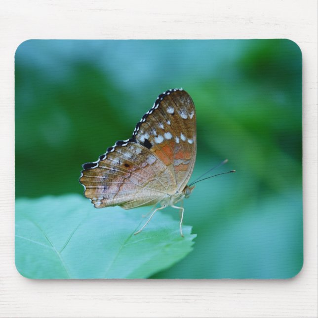 Schöner Danaus Plexippus Butterfly auf dem Leaf. Mousepad (Vorne)