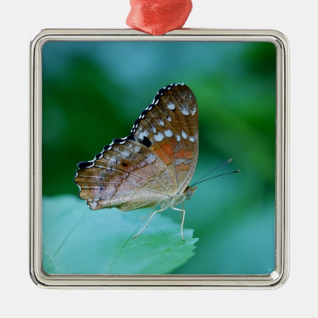 Schöner Danaus Plexippus Butterfly auf dem Leaf. Ornament Aus Metall (Vorne)