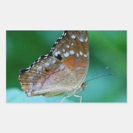 Schöner Danaus Plexippus Butterfly auf dem Leaf. Rechteckiger Aufkleber