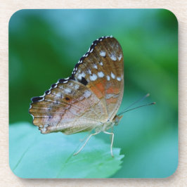 Schöner Danaus Plexippus Butterfly auf dem Leaf. Untersetzer