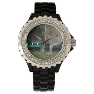 Schöner Donkey neben der hölzernen grünen Bank Armbanduhr