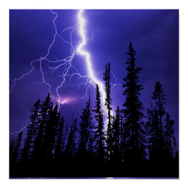 schöner Donner über dem Wald Poster (Vorderseite)