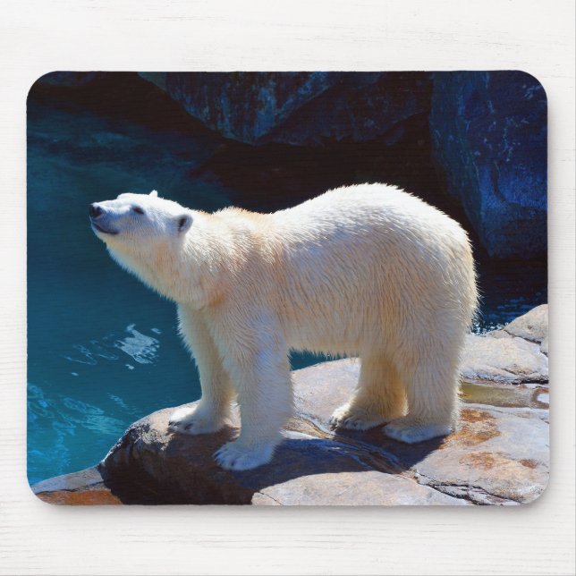 Schöner Eisbär-Mauspad Mousepad (Vorne)