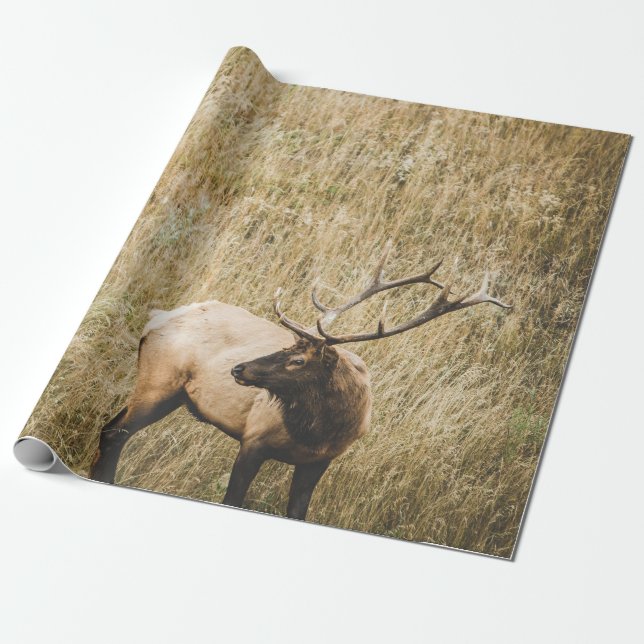 SCHÖNER ELCHHIRSCH GESCHENKPAPIER (Ungerollt)