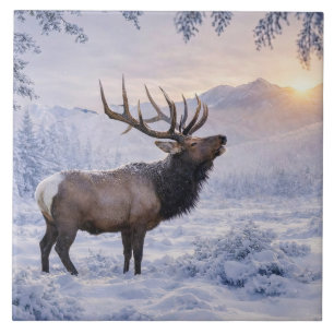 Schöner Elk im Schnee Kunst Fliese