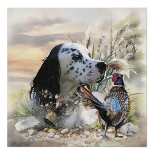 Schöner englischer Setter mit Pheasant , Kunst Poster