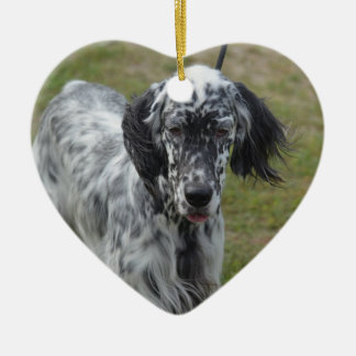Schöner englischer Setzer-Hund Keramikornament
