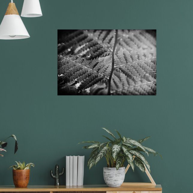 Schöner Farn schwarz und weiß Poster (Wohnzimmer 1)