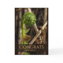 Schöner Farn überwinden die Glückwünsche des Winte