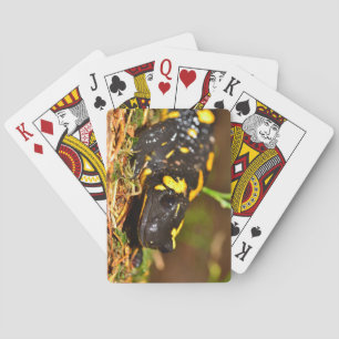 Schöner Feuersalamander Spielkarten