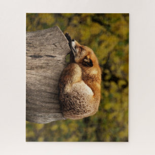 Schöner Fox Schlafen auf einem Baumstumpf Puzzle