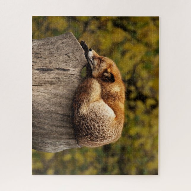 Schöner Fox Schlafen auf einem Baumstumpf Puzzle (Vertikal)
