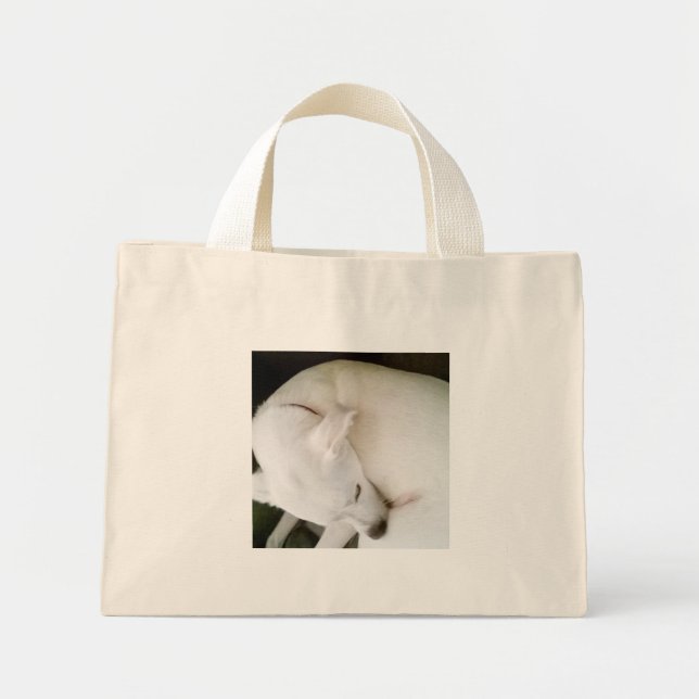 Schöner Friedlicher Polar White Labrador Mix Mini Stoffbeutel (Vorne)