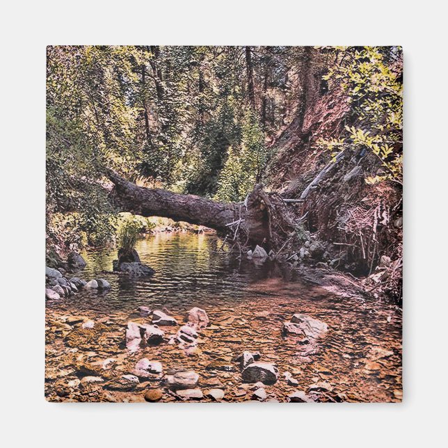 Schöner Frühlingmorgen.... Magnet (Vorne)