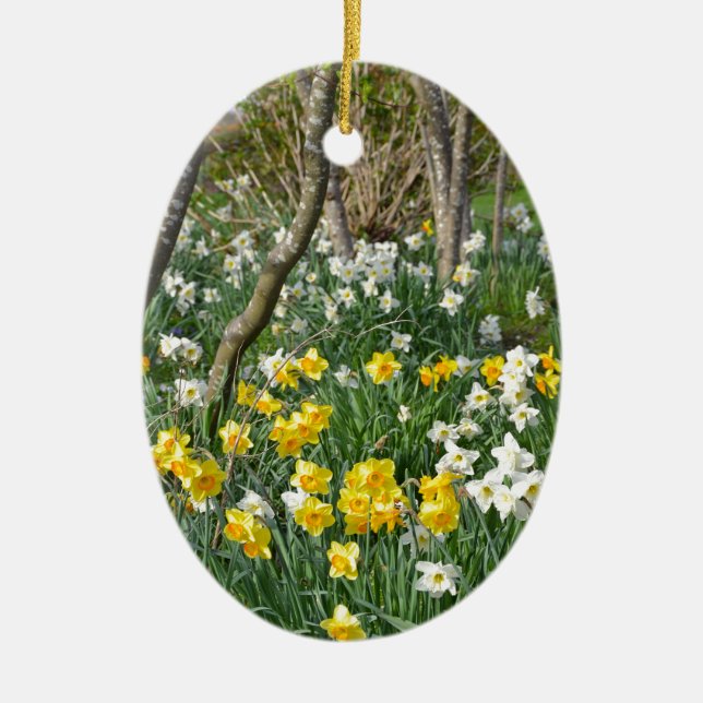 Schöner Frühlingsnarzissengarten Keramikornament (Vorne)