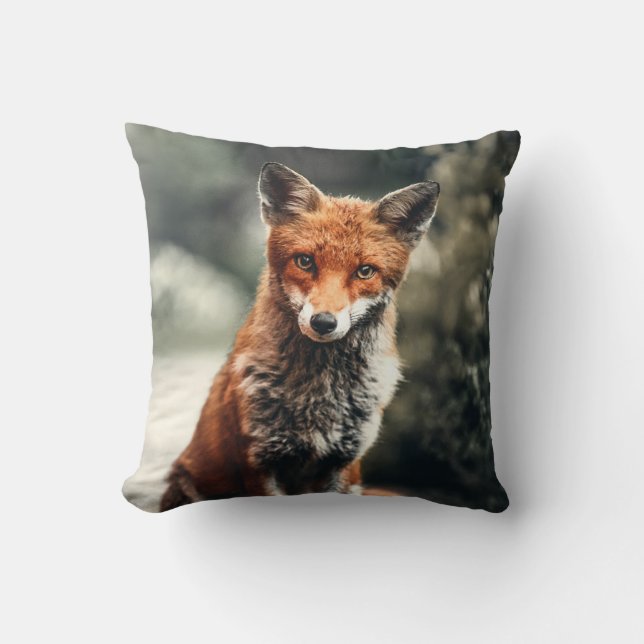 Schöner Fuchs im Grünen Kissen (Vorderseite)