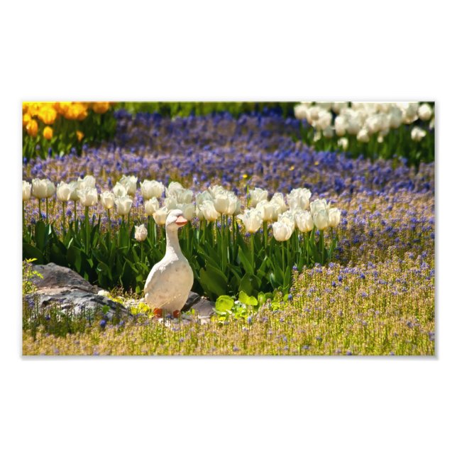 Schöner Garten Fotodruck (Vorne)