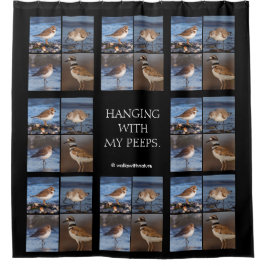 Schöner, gedämpfter Plover am Strand Duschvorhang