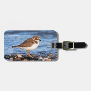 Schöner, gedämpfter Plover am Strand Gepäckanhänger