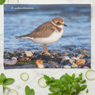 Schöner, gedämpfter Plover am Strand Handtuch