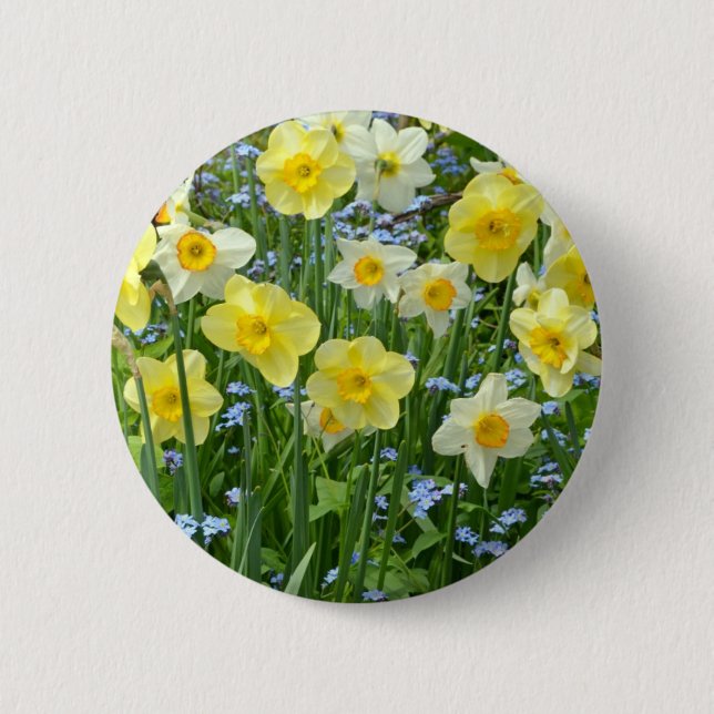 Schöner gelber Narzissengarten Button (Vorderseite)