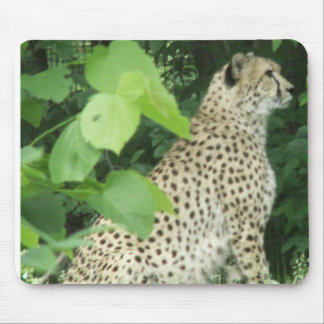 Schöner Gepard Mousepad