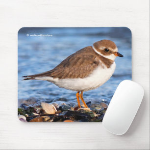 Schöner, gepflasterter Plover am Strand Mousepad