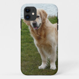 Schöner Golden Retriever Dog Stehend iPhone 11 Hülle