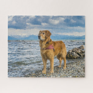 Schöner Golden Retriever Hund Strand Foto Puzzle
