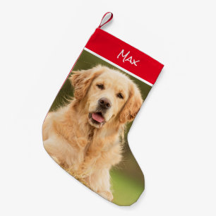 Schöner Golden Retriever Strumpf Kleiner Weihnachtsstrumpf