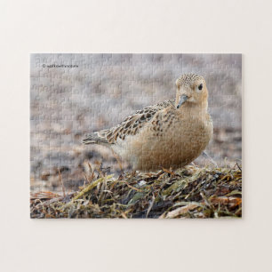 Schöner Grasläufer am Strand Puzzle