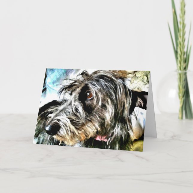 Schöner grauer Lurcher Karte (Vorderseite)