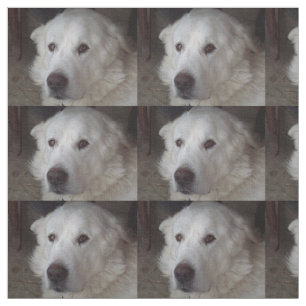Schöner große Pyrenäen-Hund Stoff