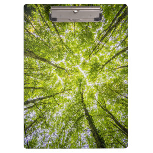 Schöner Grünwald Klemmbrett