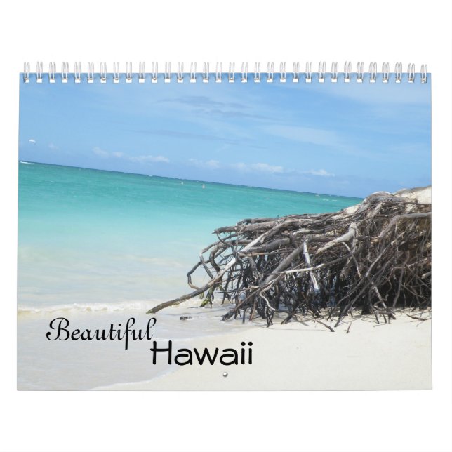 Schöner Hawaii-Kalender Kalender (Titelbild)