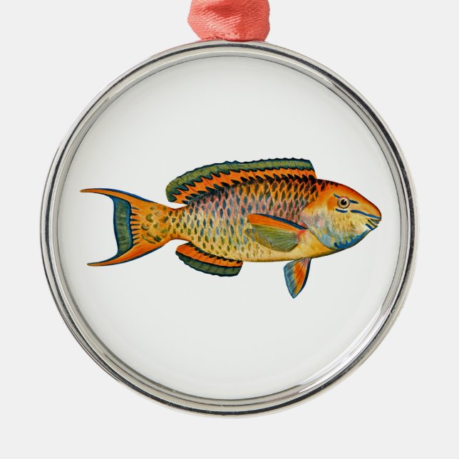 Schöner Hawaiianischer Fisch - Regal Parrotfish Ornament Aus Metall (Vorne)