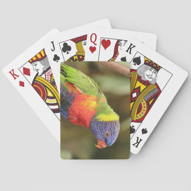 Schöner, heller, farbenfroher Papagei Spielkarten (Rückseite)