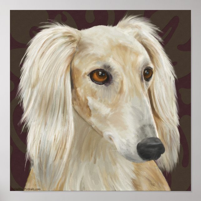 Schöner heller Fur Saluki Hund auf braunem Hinterg Poster (Vorne)